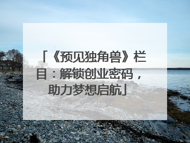 《预见独角兽》栏目：解锁创业密码，助力梦想启航