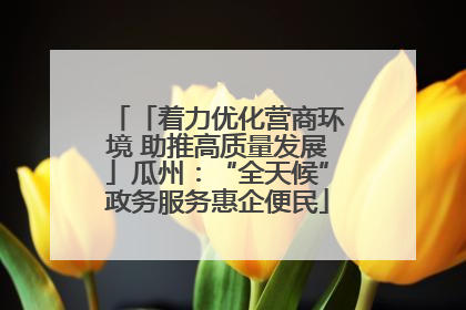 「着力优化营商环境 助推高质量发展」瓜州：“全天候”政务服务惠企便民
