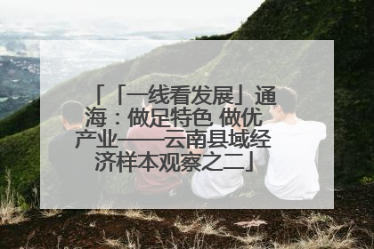 「一线看发展」通海：做足特色 做优产业——云南县域经济样本观察之二