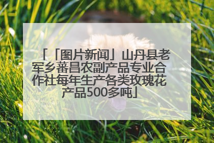 「图片新闻」山丹县老军乡蕃昌农副产品专业合作社每年生产各类玫瑰花产品500多吨