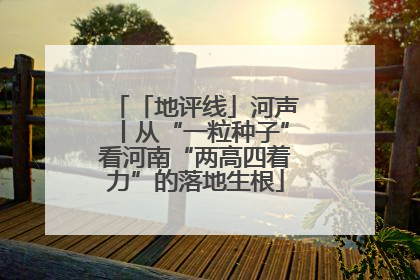 「地评线」河声丨从“一粒种子”看河南“两高四着力”的落地生根