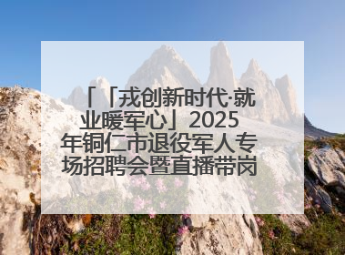 「戎创新时代·就业暖军心」2025年铜仁市退役军人专场招聘会暨直播带岗活动顺利举行