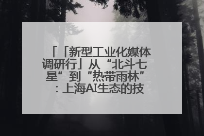 「新型工业化媒体调研行」从“北斗七星”到“热带雨林”：上海AI生态的技术商业共生密码