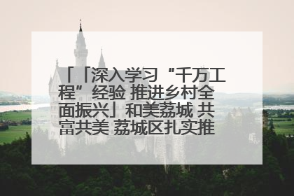 「深入学习“千万工程”经验 推进乡村全面振兴」和美荔城 共富共美 荔城区扎实推进乡村振兴工作