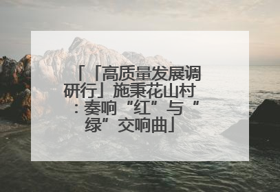「高质量发展调研行」施秉花山村：奏响“红”与“绿”交响曲