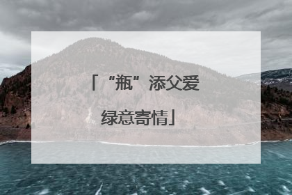 “瓶”添父爱 绿意寄情