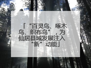 “百灵鸟、啄木鸟、织布鸟”，为仙居县域发展注入“新”动能