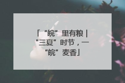 “皖”里有粮｜“三夏”时节，一“皖”麦香