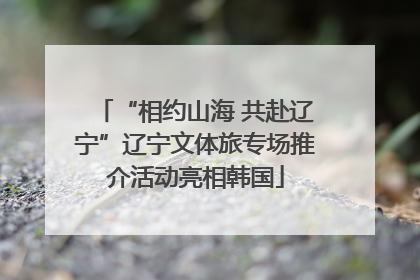 “相约山海 共赴辽宁”辽宁文体旅专场推介活动亮相韩国