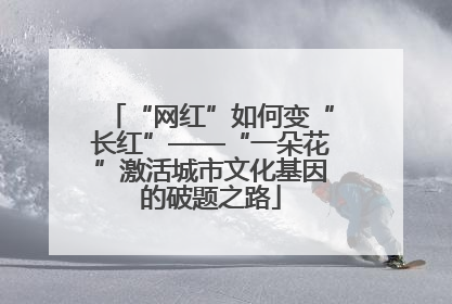“网红”如何变“长红”——“一朵花”激活城市文化基因的破题之路