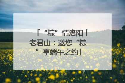 “粽”情洛阳丨老君山：邀您“粽”享端午之约
