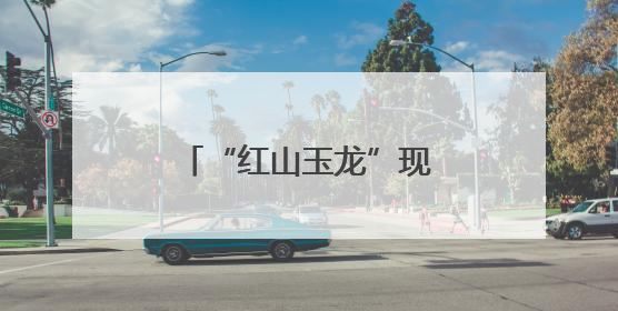 “红山玉龙”现身上海！来看五千多年前的这条龙
