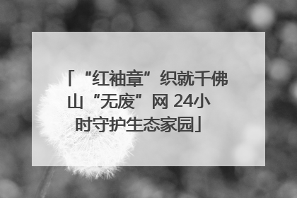 “红袖章”织就千佛山“无废”网 24小时守护生态家园