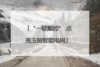 “一键顺控” 点亮玉树智能电网