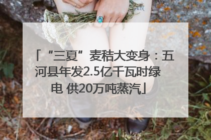 “三夏”麦秸大变身：五河县年发2.5亿千瓦时绿电 供20万吨蒸汽