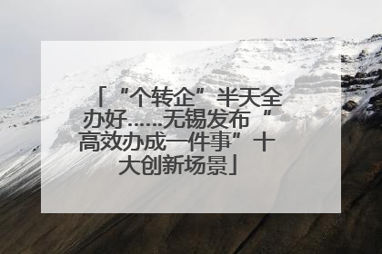 “个转企”半天全办好……无锡发布“高效办成一件事”十大创新场景