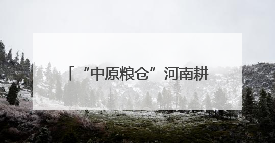 “中原粮仓”河南耕地面积实现四年连增