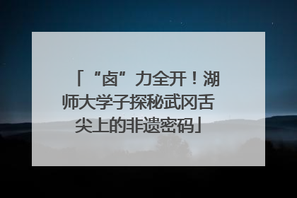 “卤”力全开！湖师大学子探秘武冈舌尖上的非遗密码