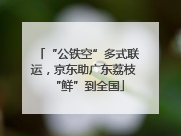“公铁空”多式联运，京东助广东荔枝“鲜”到全国