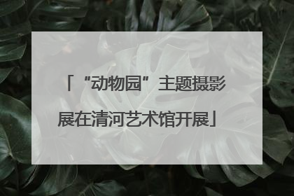 “动物园”主题摄影展在清河艺术馆开展