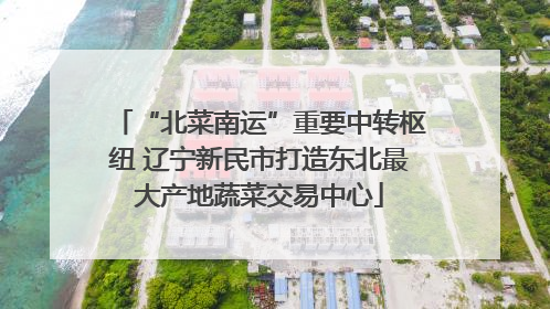 “北菜南运”重要中转枢纽 辽宁新民市打造东北最大产地蔬菜交易中心