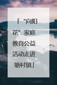 “向阳花”家庭教育公益活动走进塘村镇