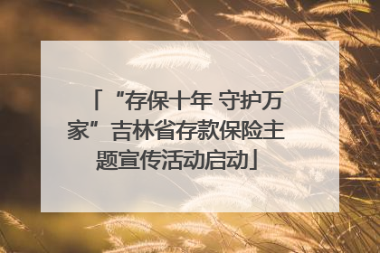 “存保十年 守护万家”吉林省存款保险主题宣传活动启动