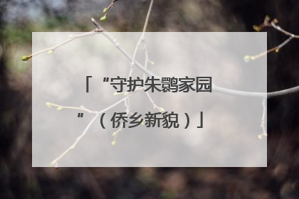 “守护朱鹮家园”（侨乡新貌）