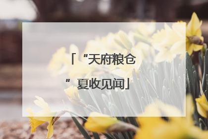 “天府粮仓”夏收见闻