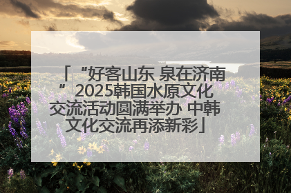 “好客山东 泉在济南”2025韩国水原文化交流活动圆满举办 中韩文化交流再添新彩