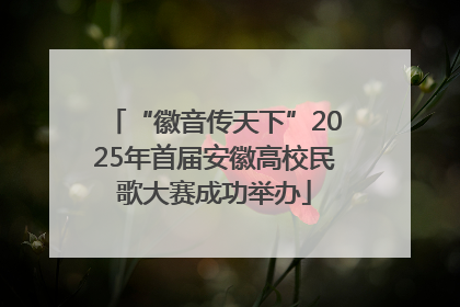 “徽音传天下”2025年首届安徽高校民歌大赛成功举办