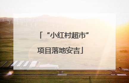 “小红村超市”项目落地安吉