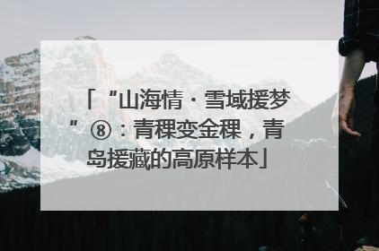 “山海情・雪域援梦”⑧：青稞变金稞，青岛援藏的高原样本