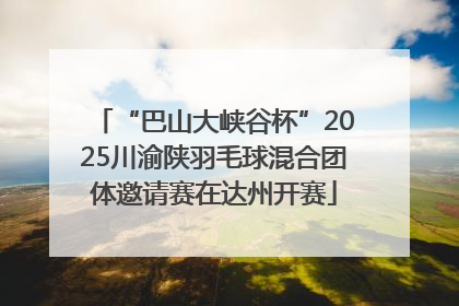 “巴山大峡谷杯”2025川渝陕羽毛球混合团体邀请赛在达州开赛