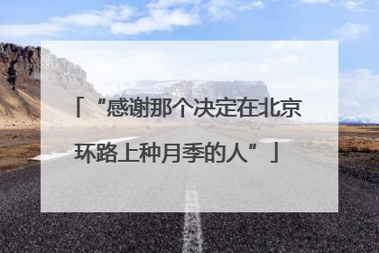 “感谢那个决定在北京环路上种月季的人”