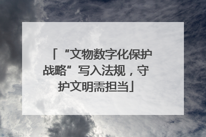 “文物数字化保护战略”写入法规，守护文明需担当