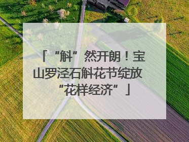 “斛”然开朗！宝山罗泾石斛花节绽放“花样经济”