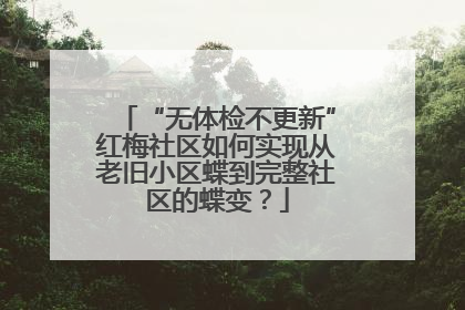 “无体检不更新”红梅社区如何实现从老旧小区蝶到完整社区的蝶变？