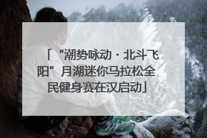 “潮势咏动・北斗飞阳”月湖迷你马拉松全民健身赛在汉启动