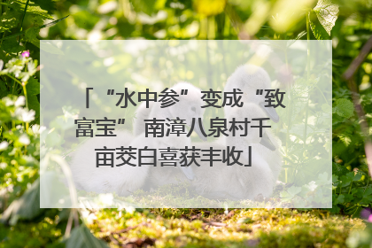 “水中参”变成“致富宝” 南漳八泉村千亩茭白喜获丰收