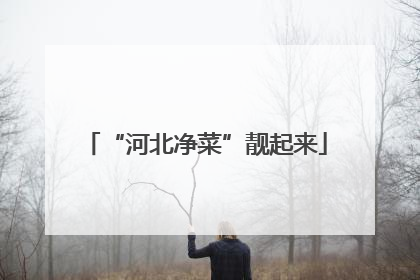 “河北净菜”靓起来