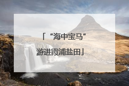 “海中宝马”游进霞浦盐田