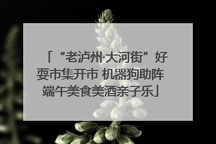 “老泸州·大河街”好耍市集开市 机器狗助阵端午美食美酒亲子乐