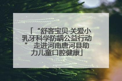 “舒客宝贝·关爱小乳牙科学防龋公益行动” 走进河南唐河县助力儿童口腔健康