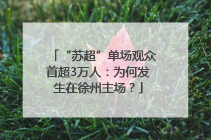 “苏超”单场观众首超3万人：为何发生在徐州主场？