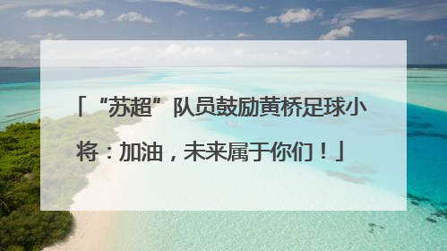 “苏超”队员鼓励黄桥足球小将：加油，未来属于你们！
