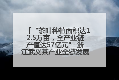 “茶叶种植面积达12.5万亩，全产业链产值达57亿元” 浙江武义茶产业全链发展“加速度”