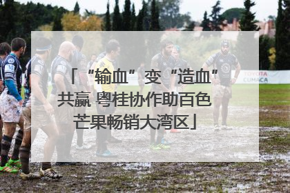 “输血”变“造血”共赢 粤桂协作助百色芒果畅销大湾区