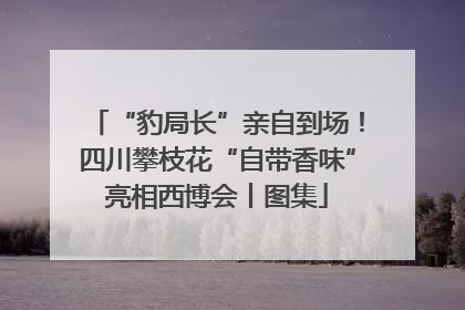 “豹局长”亲自到场！四川攀枝花“自带香味”亮相西博会丨图集