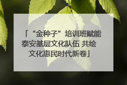 “金种子”培训班赋能泰安基层文化队伍 共绘文化惠民时代新卷
